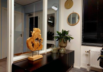 Projecten van DG Vastgoedstyling