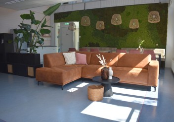 Projecten van DG Vastgoedstyling